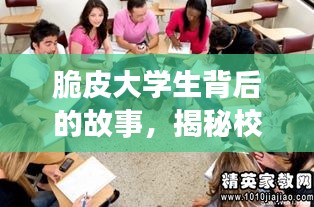 脆皮大学生背后的故事,揭秘校园生活的真实面貌