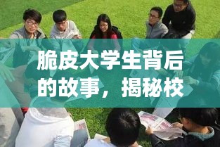 脆皮大学生背后的故事,揭秘校园生活的真实面貌