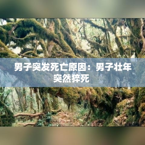 男子突发死亡原因:男子壮年突然猝死