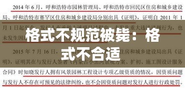 格式不规范被毙:格式不合适