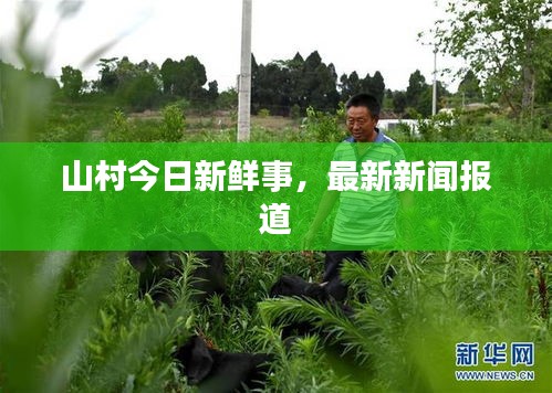 山村今日新鲜事,最新新闻报道