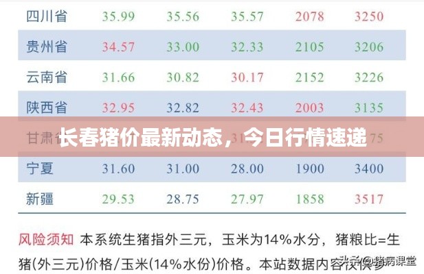 长春猪价最新动态,今日行情速递