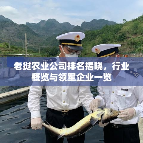 老挝农业公司排名揭晓,行业概览与领军企业一览