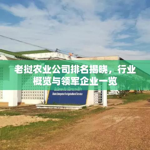老挝农业公司排名揭晓,行业概览与领军企业一览