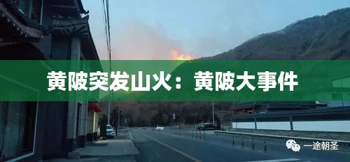 黄陂突发山火:黄陂大事件