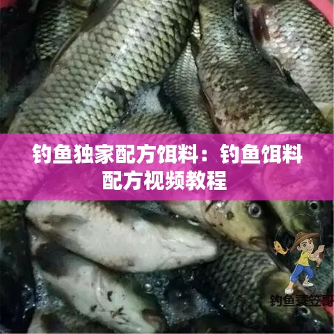 钓鱼独家配方饵料:钓鱼饵料配方视频教程