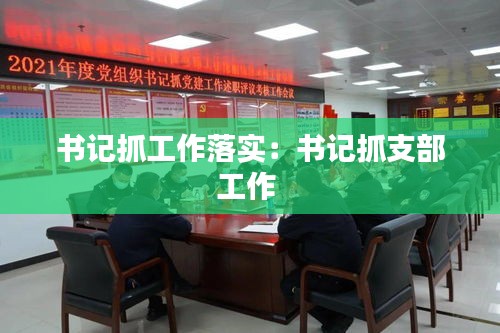 书记抓工作落实:书记抓支部工作