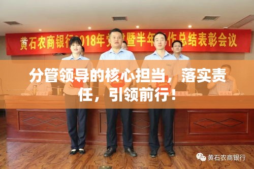 分管领导的核心担当,落实责任,引领前行!