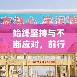 始终坚持与不断应对,前行路上的双翼探索