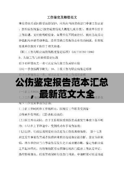 公伤鉴定报告范本汇总,最新范文大全
