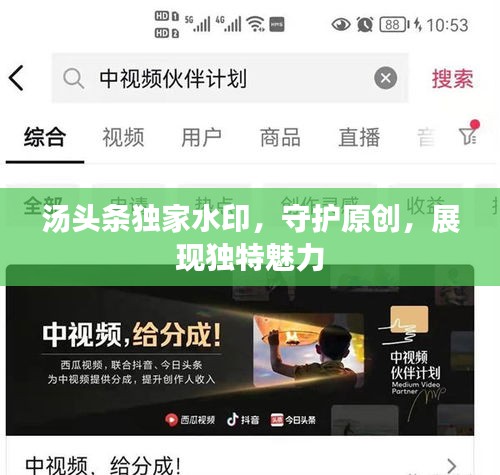汤头条独家水印,守护原创,展现独特魅力