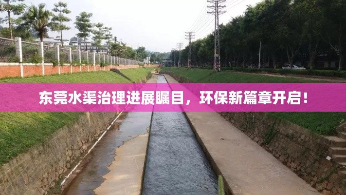 东莞水渠治理进展瞩目,环保新篇章开启!
