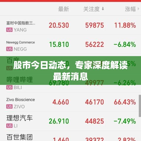 股市今日动态,专家深度解读最新消息