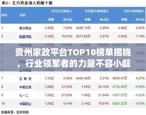 贵州家政平台TOP10榜单揭晓,行业领军者的力量不容小觑