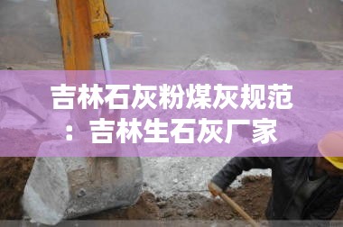 吉林石灰粉煤灰规范:吉林生石灰厂家