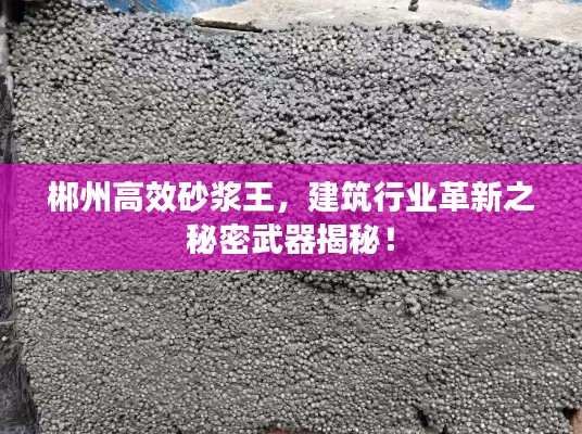 郴州高效砂浆王,建筑行业革新之秘密武器揭秘!