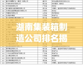 湖南集装箱制造公司排名揭晓,权威榜单,不容错过!