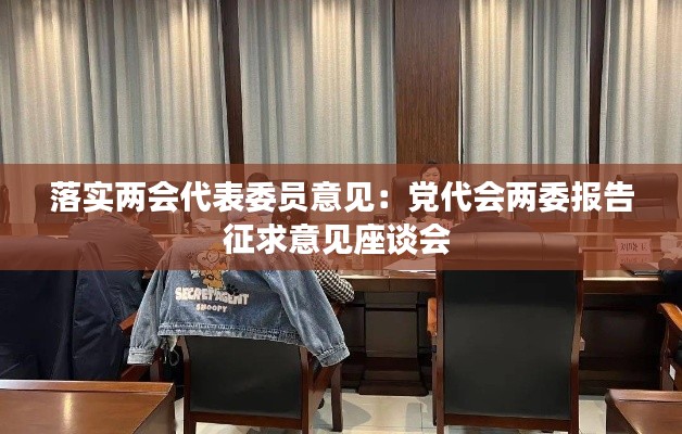落实两会代表委员意见:党代会两委报告征求意见座谈会