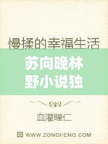 苏向晚林野小说独家侵占: