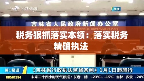 税务狠抓落实本领:落实税务精确执法
