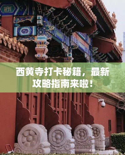 西黄寺打卡秘籍,最新攻略指南来啦!