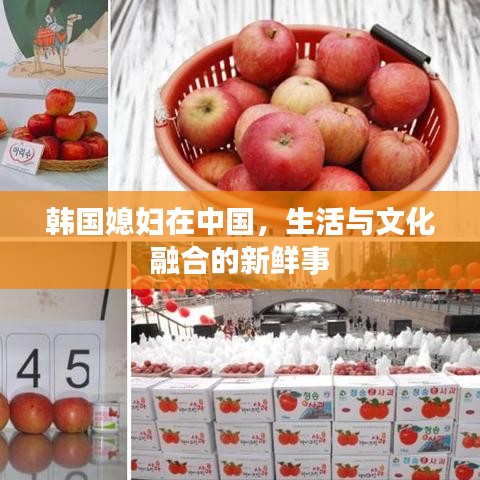 韩国媳妇在中国,生活与文化融合的新鲜事