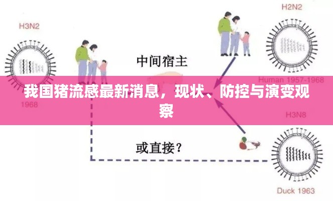 我国猪流感最新消息,现状、防控与演变观察