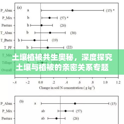 土壤植被共生奥秘,深度探究土壤与植被的亲密关系专题