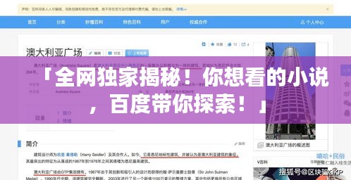 「全网独家揭秘!你想看的小说,百度带你探索!」