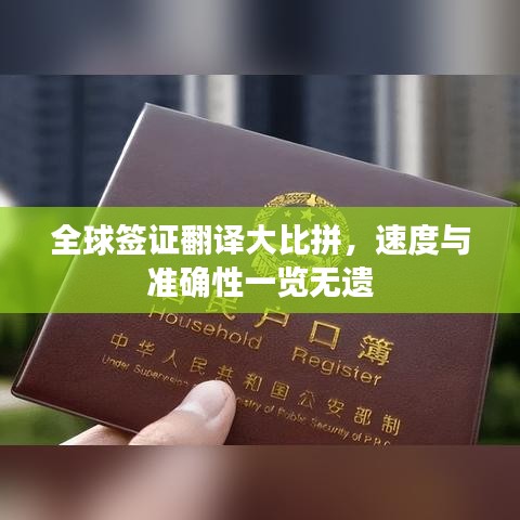 全球签证翻译大比拼,速度与准确性一览无遗