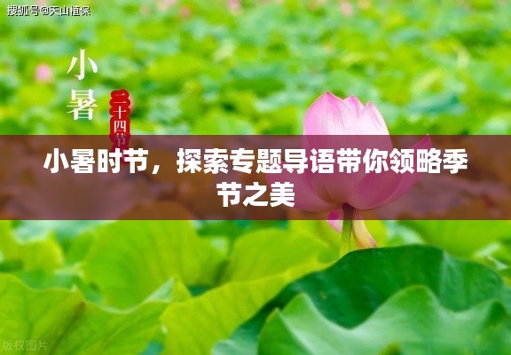小暑时节,探索专题导语带你领略季节之美