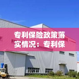 专利保险政策落实情况:专利保险的政府补贴