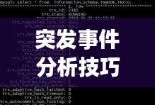 突发事件分析技巧揭秘,应对危机的关键策略