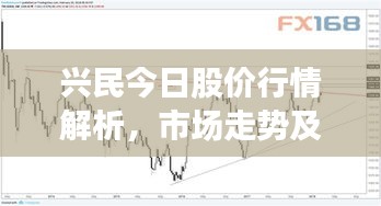 兴民今日股价行情解析,市场走势及前景展望