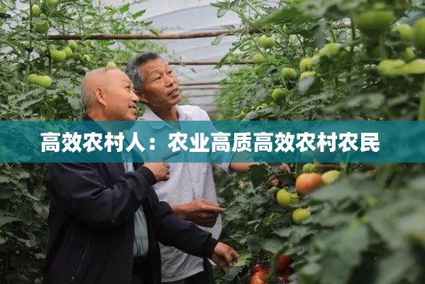 高效农村人:农业高质高效农村农民
