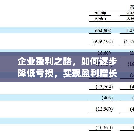 企业盈利之路,如何逐步降低亏损,实现盈利增长