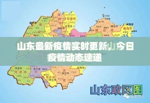 山东最新疫情实时更新,今日疫情动态速递