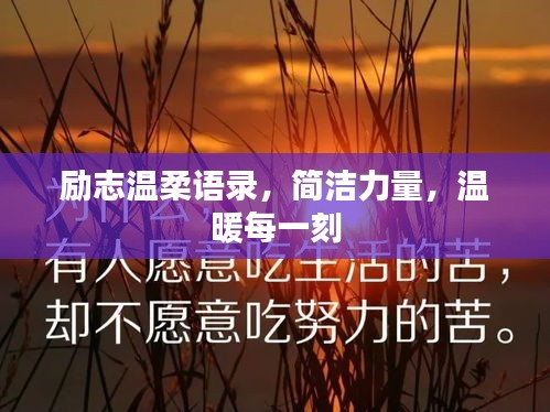 励志温柔语录,简洁力量,温暖每一刻