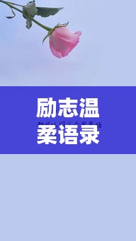 励志温柔语录,简洁力量,温暖每一刻