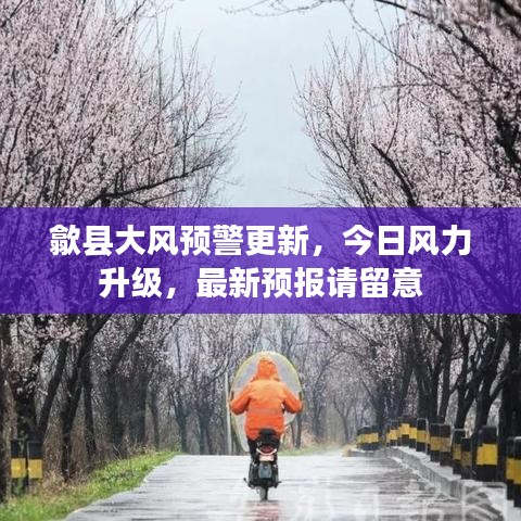 歙县大风预警更新,今日风力升级,最新预报请留意