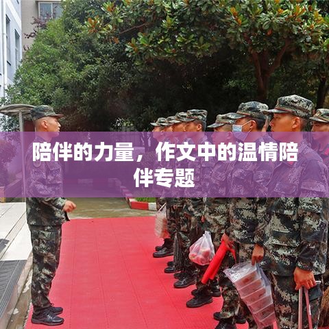 陪伴的力量,作文中的温情陪伴专题