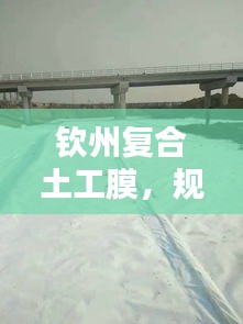 钦州复合土工膜,规范、应用、特性与工程实践全解析