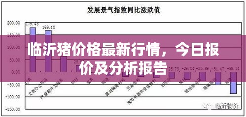 临沂猪价格最新行情,今日报价及分析报告