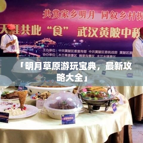 「明月草原游玩宝典,最新攻略大全」