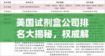 美国试剂盒公司排名大揭秘,权威解析,行业地位一目了然!