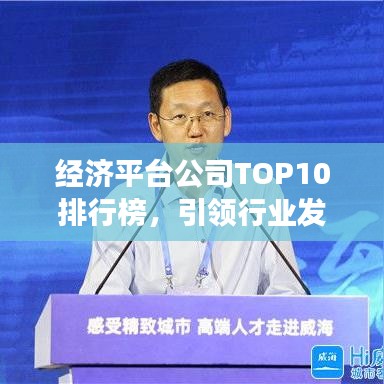 经济平台公司TOP10排行榜,引领行业发展,谁占据了行业制高点?