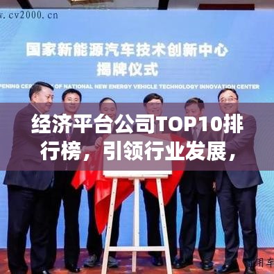 经济平台公司TOP10排行榜,引领行业发展,谁占据了行业制高点?