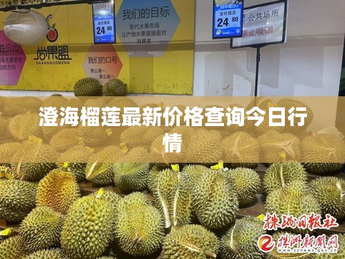 澄海榴莲最新价格查询今日行情