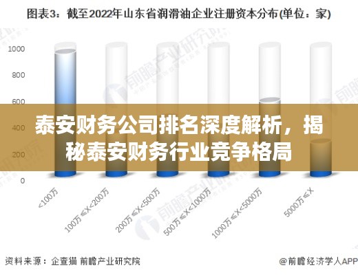 泰安财务公司排名深度解析,揭秘泰安财务行业竞争格局