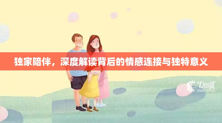 独家陪伴,深度解读背后的情感连接与独特意义